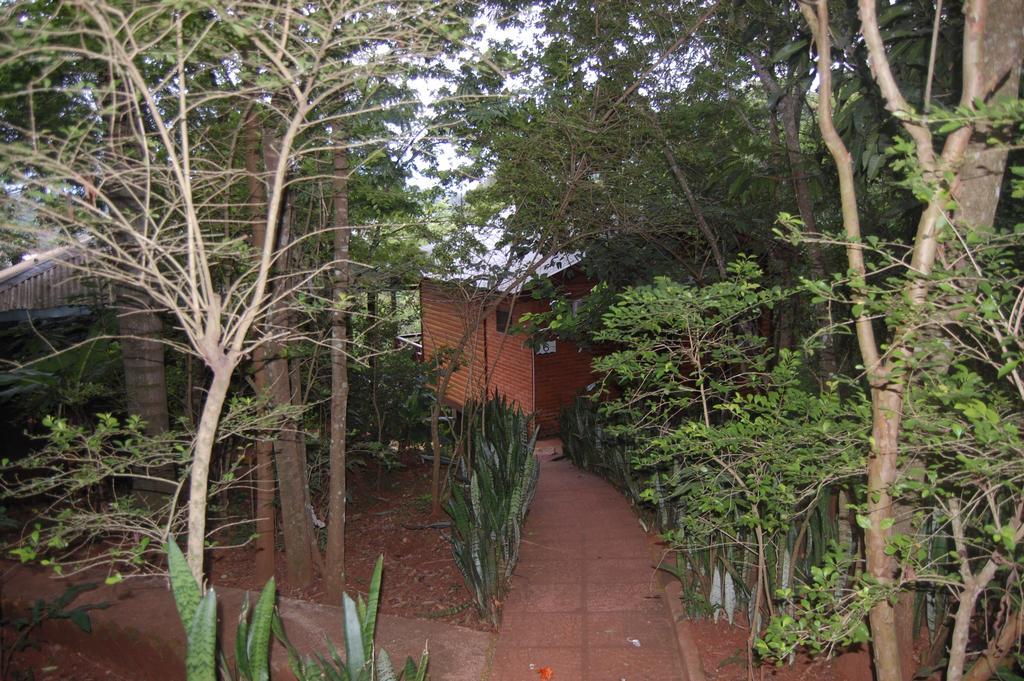 Panambi Lodge B&B 伊瓜苏港 外观 照片