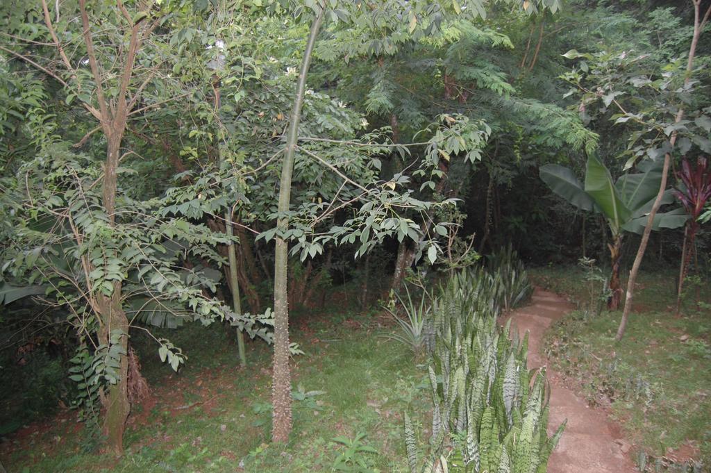 Panambi Lodge B&B 伊瓜苏港 外观 照片